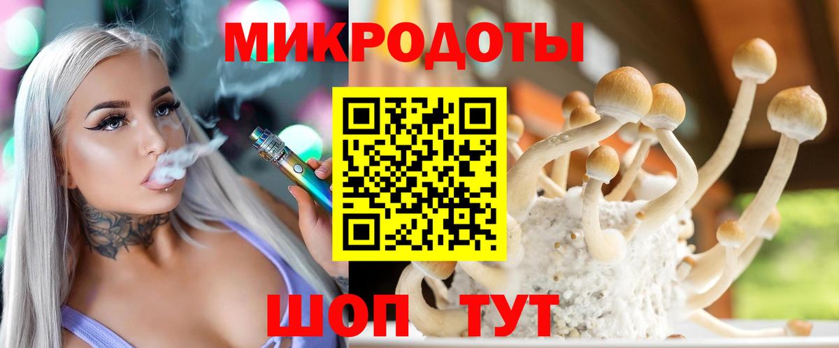 Псилоцибиновые грибы мицелий Смоленск